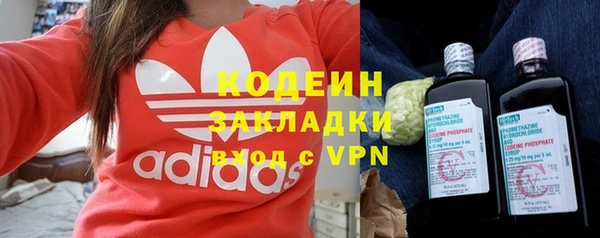дурь Вяземский