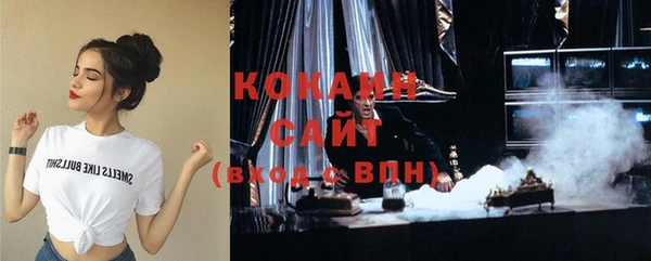 индика Струнино