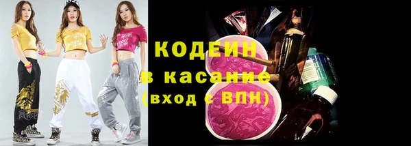 дурь Вяземский