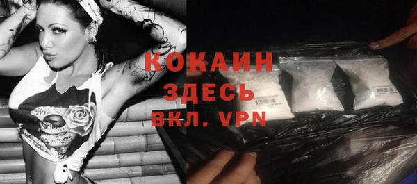 дурь Вяземский