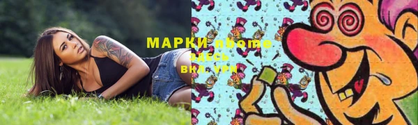 прущие грибы Волосово